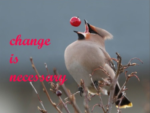change is necessary